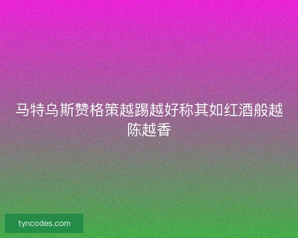 马特乌斯赞格策越踢越好称其如红酒般越陈越香 马特乌斯赞格策越踢越好称其如红酒般越陈越香