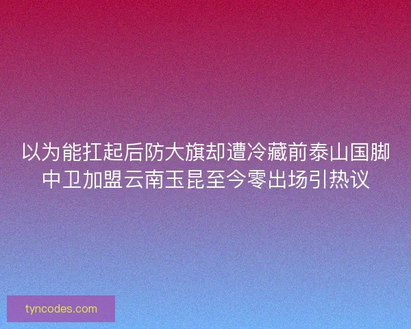 以为能扛起后防大旗却遭冷藏前泰山国脚中卫加盟云南玉昆至今零出场引热议