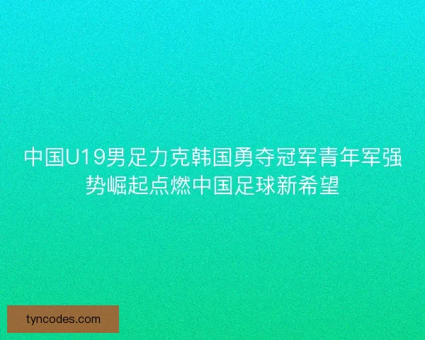 中国U19男足力克韩国勇夺冠军青年军强势崛起点燃中国足球新希望