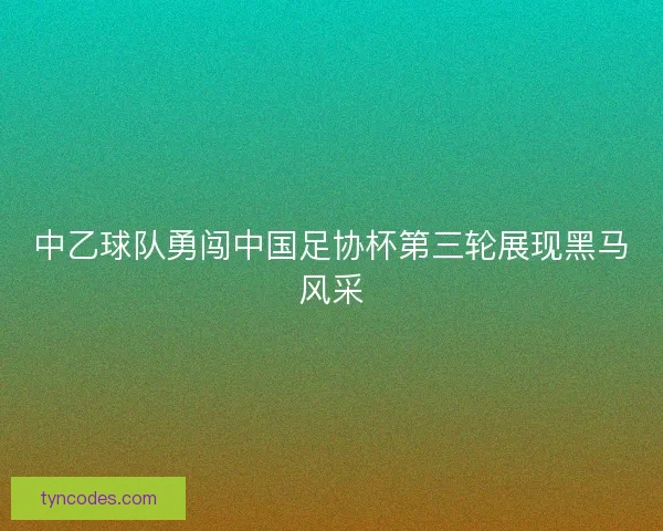 中乙球队勇闯中国足协杯第三轮展现黑马风采